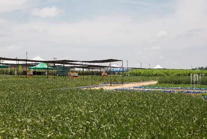 Belagrícola distribui mais de 21 milhões ao agricultor com a TCP Maxx.