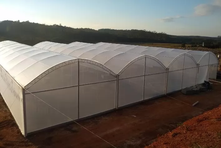 Soluções para cultivo protegido marcam presença no retorno da Hortitec