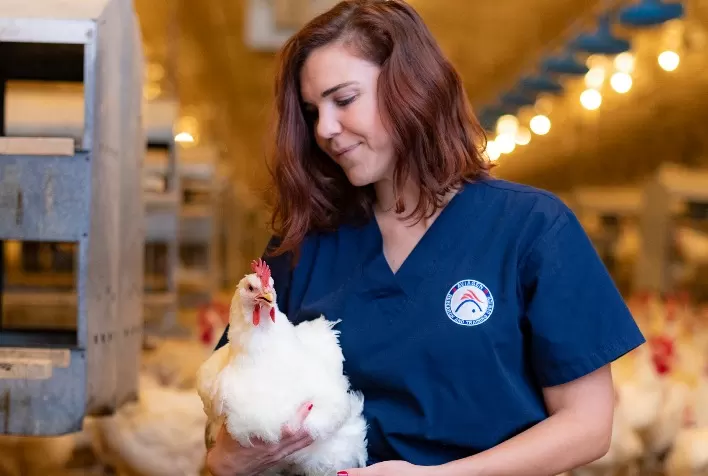 Não há linhas de chegada para o bem-estar animal