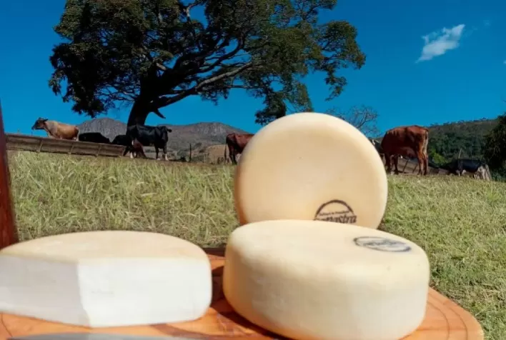 Queijo Minas Artesanal produzido na Canastra é apontado como o melhor do mundo