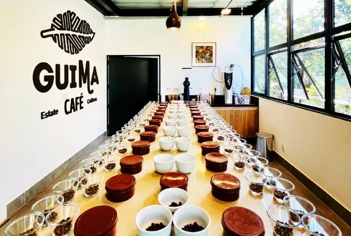 Fazendas Guima Café conquistam certificação internacional Regenagri® de cafeicultura regenerativa