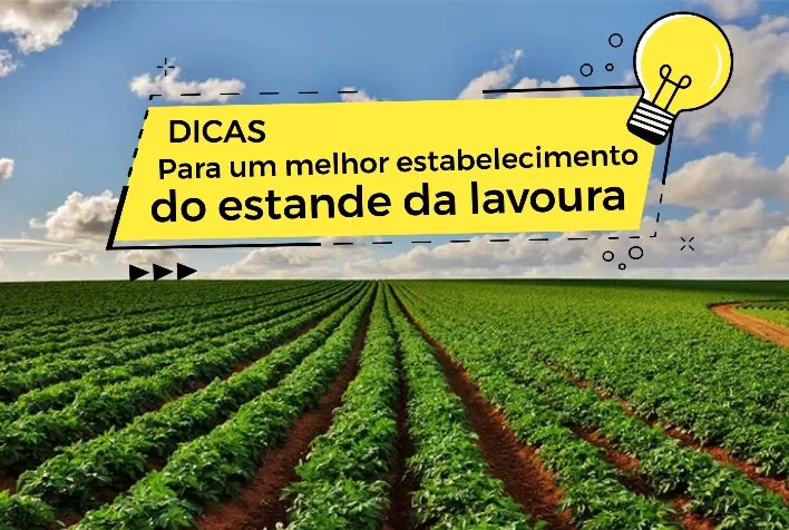 Dicas para um melhor estabelecimento do estande da lavoura