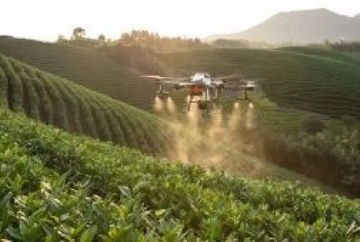 É preciso um olhar mais atento aos processos que envolvem o registro de agrotóxicos no Brasil