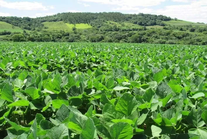 Ferramentas digitais aceleram a contratação de crédito no campo
