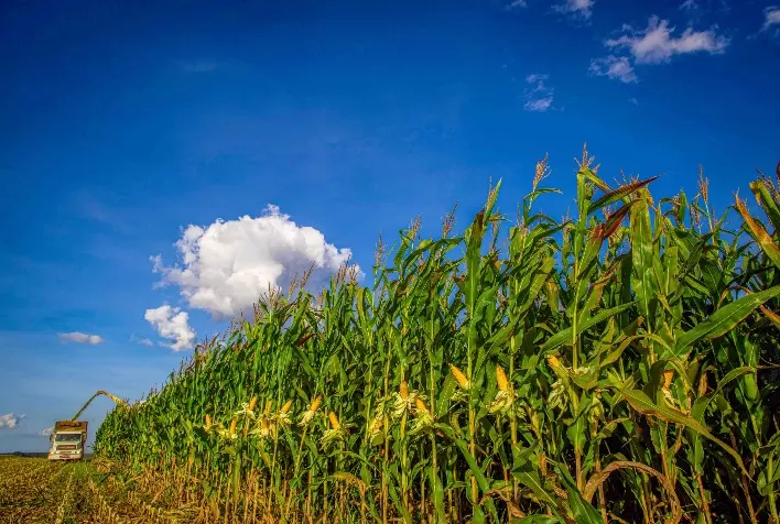 Agro, Saúde e Cooperação, o maior projeto do setor agro de Santa Catarina