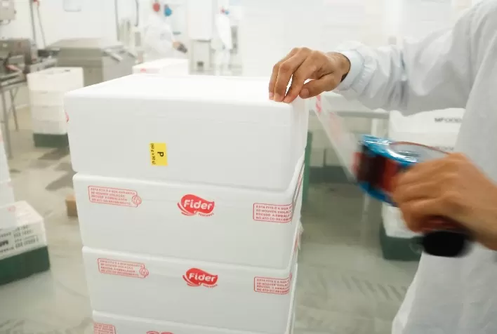 Tilápia brasileira é exportada para sete países