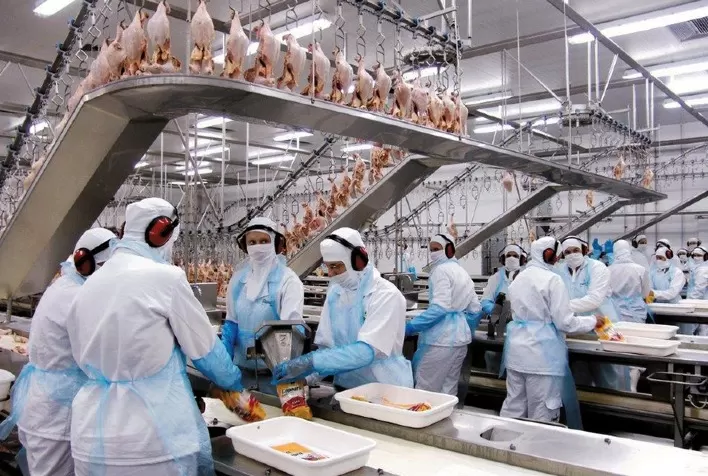 Carne de frango: os 10 principais importadores do produto brasileiro entre janeiro e maio de 2022