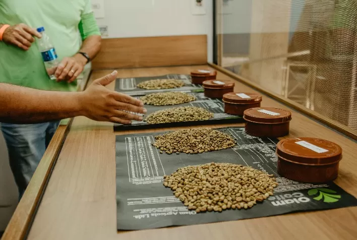 Amostras do 1ª Concurso do Café Conilon de Jaguaré serão avaliadas nesta quinta-feira