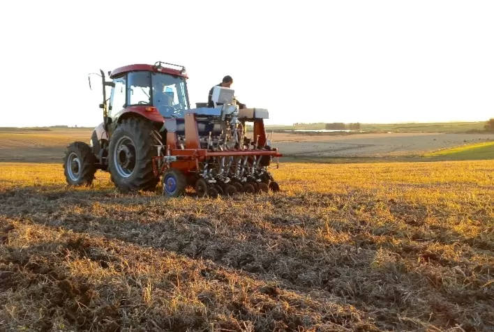 Fundação Pró-Sementes já iniciou cultivo do ECR do trigo