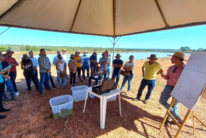 Dia de campo fortalece piscicultura mato-grossense com foco na qualidade final do peixe oferecido ao consumidor