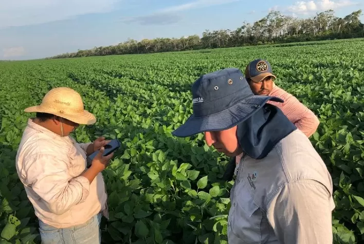 Aplicação de insumos em taxa variável gera maior rentabilidade ao produtor e reduz o impacto ao meio ambiente