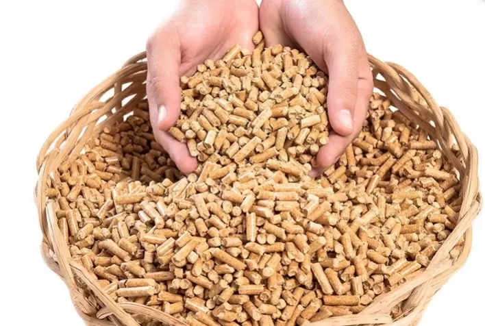 Uso de pellets traz qualidade de vida ao produtor e melhor conversão alimentar às aves