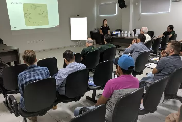 Programa de capacitação da Kemin compartilha expertise da empresa com fábricas de ração e, entre outros benefícios, garante qualidade do produto acabado