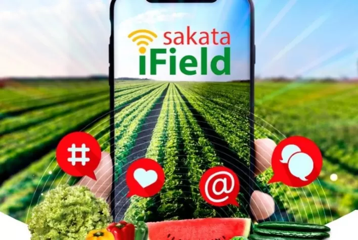 Dia de Campo virtual promoverá troca de experiências entre horticultores e fornecedores da América do Sul