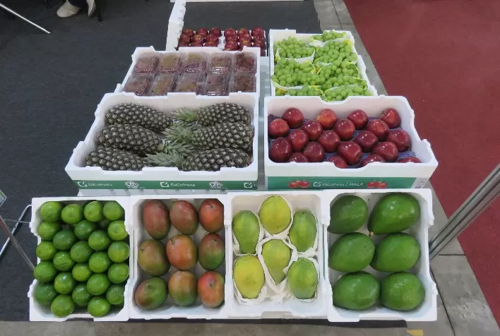 Embalagens em EPS ampliam proteção e conservação de produtos frescos em toda a cadeia de consumo