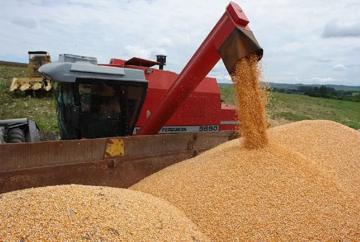 Congresso Nacional de Milho e Sorgo: fertilizantes e futuro de commodities em debate por especialistas