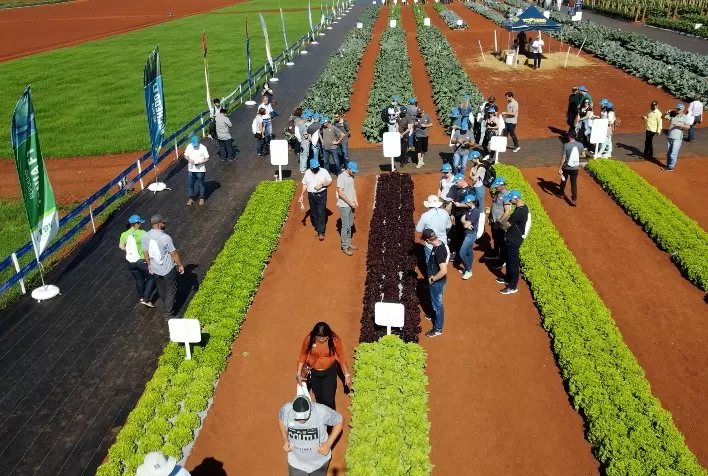 Open Field Day bate recorde de público e horticultores conhecem as novidades da Agristar do Brasil para o setor