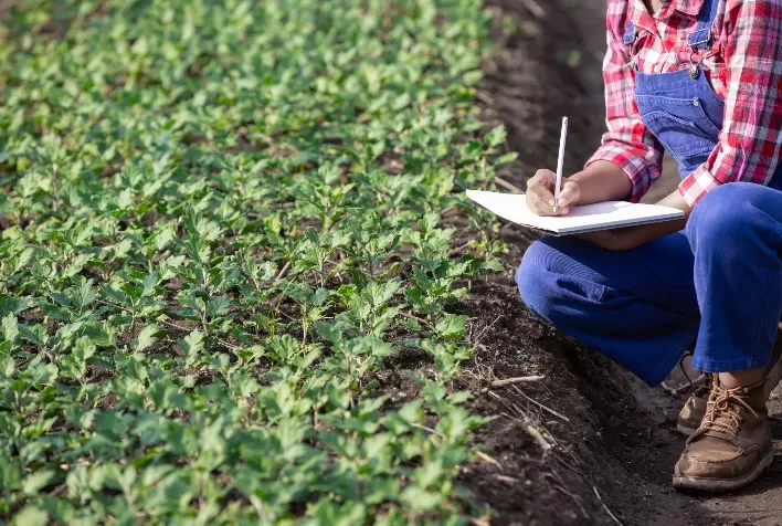 YAMI 2022 apresentará à juventude do Brasil as oportunidades do agro e como elas devem ser incorporadas às profissões e ao empreendedorismo
