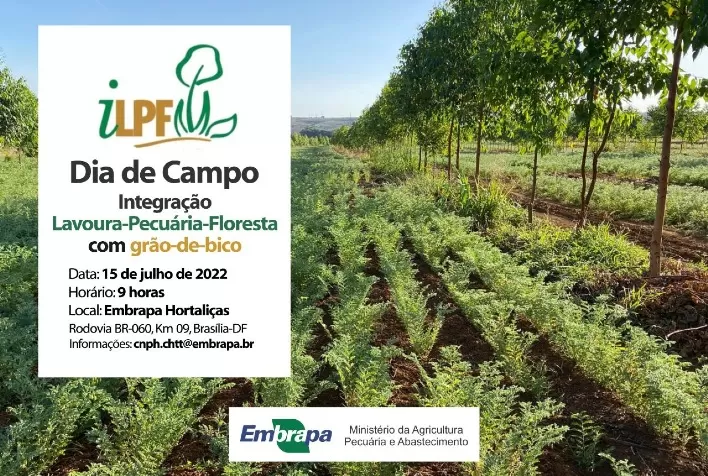Integração Lavoura-Pecuária-Floresta com grão-de-bico é tema de dia de campo no próximo dia 15 no DF