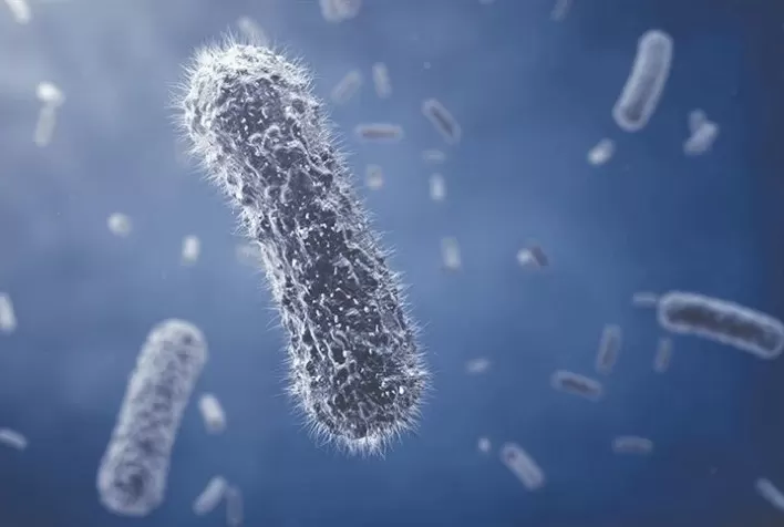 Produtor relata aumento de produtividade com soluções biotecnológicas