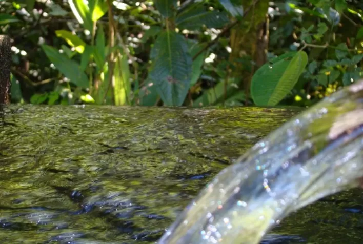 O valor do manejo pré seca em períodos de escassez de água
