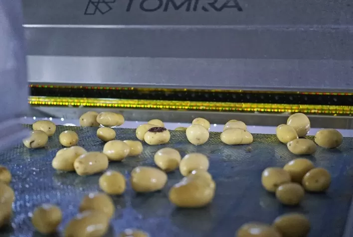 Como os processadores de batata podem melhorar a rentabilidade e a sustentabilidade usando as últimas soluções de peeling a vapor