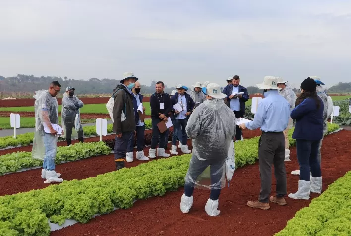 Agristar do Brasil reúne mais de 150 técnicos de todo o País e exterior para conhecerem os lançamentos da empresa para a horticultura