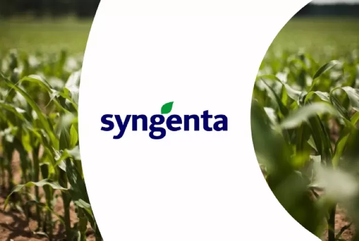 Syngenta Seeds lança marca Golden Harvest no Brasil