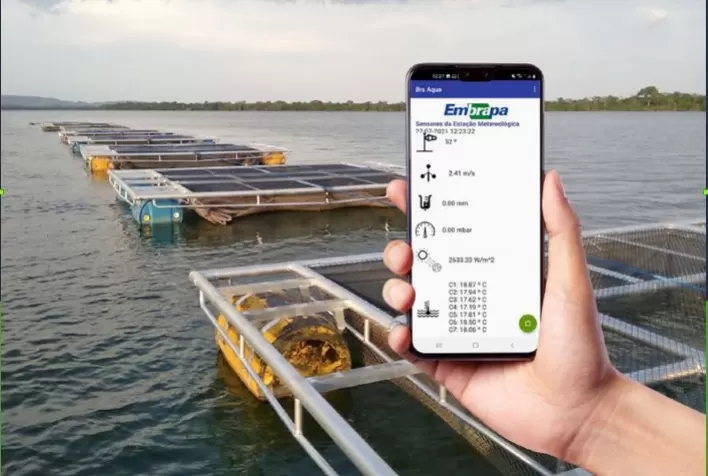 Tecnologia transmite dados da piscicultura para o celular do produtor em tempo real