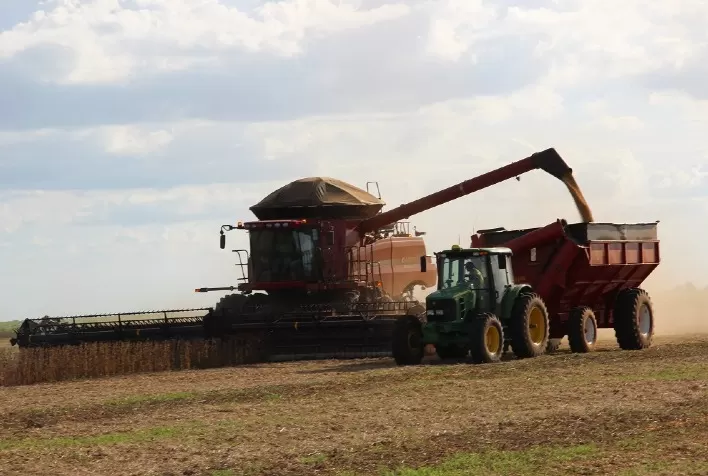 Soja brasileira da safra 2021/22 está 76,7% comercializada, mostra DATAGRO