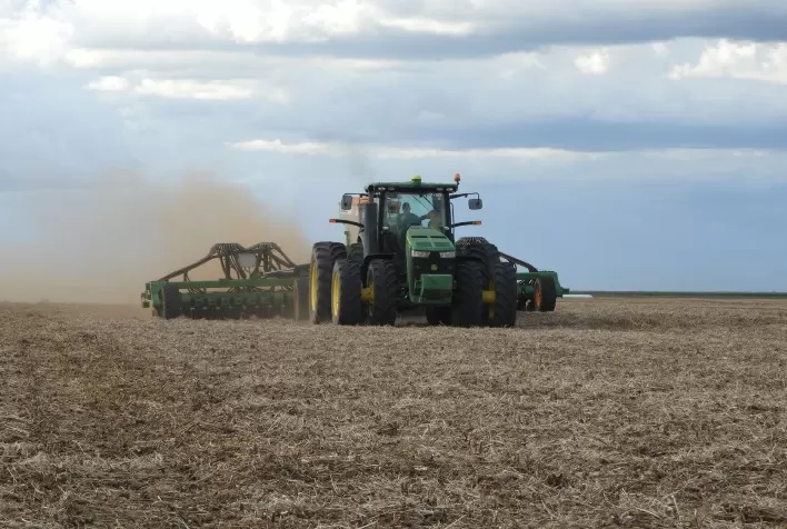 Goiás colhe 43,2% de todo o sorgo brasileiro
