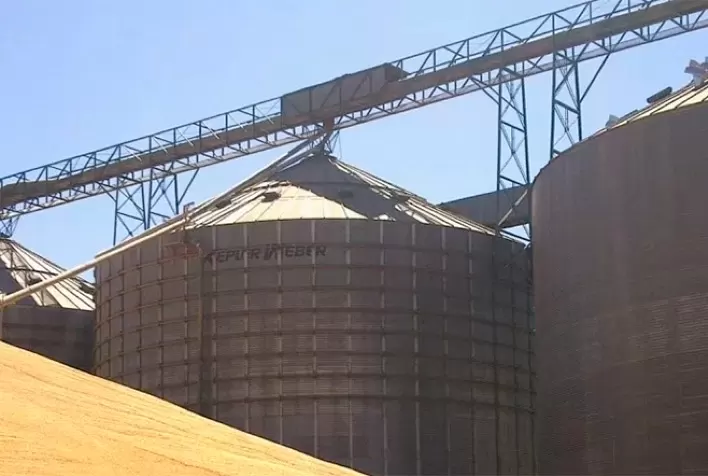 Falta de espaço em armazéns de Mato Grosso segue influenciando na comercialização da soja