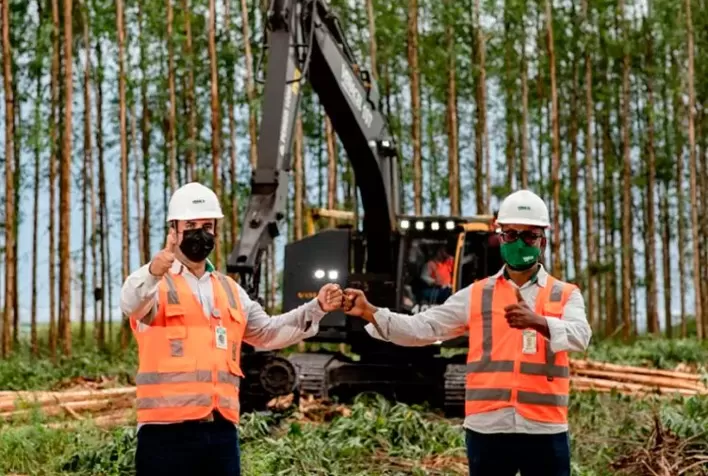 Investindo na Bahia e levando celulose para o mundo