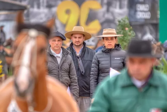 Prévia define lista completa para Morfologia do Cavalo Crioulo na Expointer