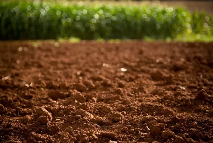 Aplicação de fertilizantes com taxas variáveis em linha de semeadura vão mudar os sistemas de produção