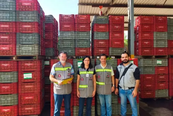 Exportação: Defesa Agropecuária atua e diminui interceptações de Cancro Cítrico