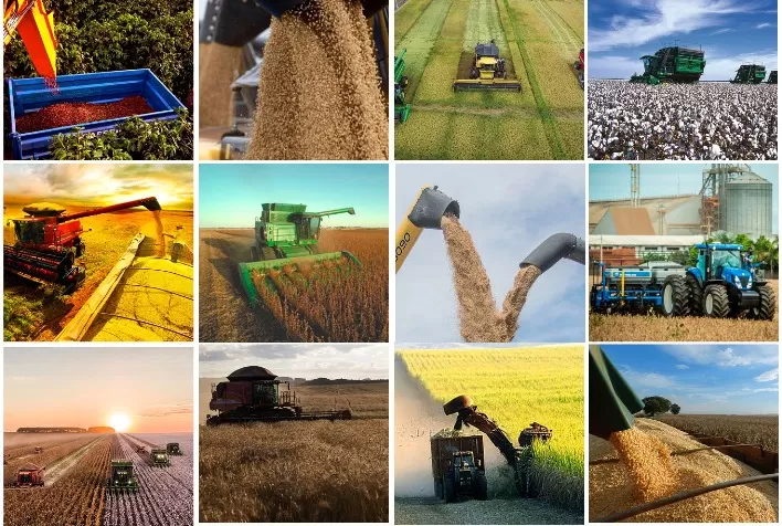Ciclo do agronegócio dá sinais de arrefecimento