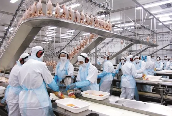 EUA: exportações anualizadas de carne de frango estão próximas de novo recorde