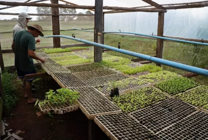 CAT Sorriso destaca a importância da agricultura familiar na região
