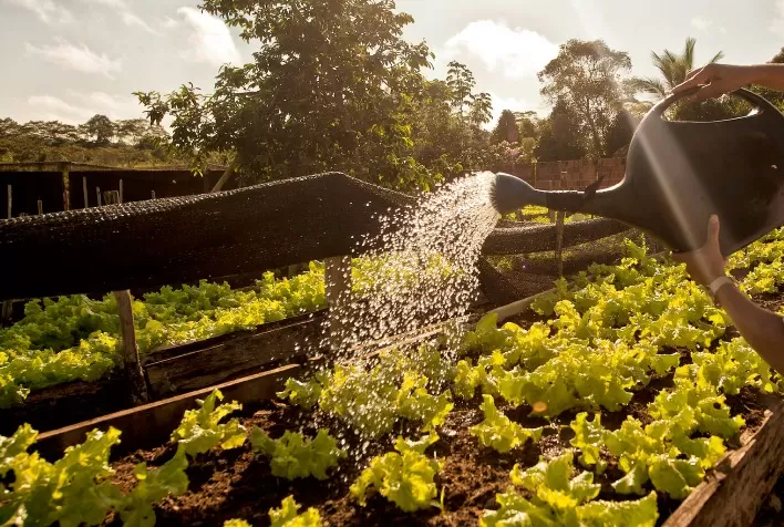 Semana Estadual da Agricultura Familiar começa na quarta-feira (27/7) em Goiânia