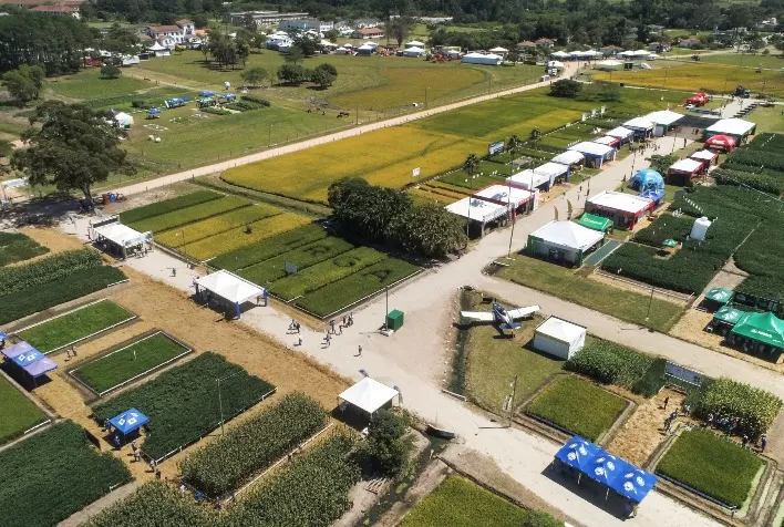Abertura da Colheita do Arroz terá novidades no formato e programação