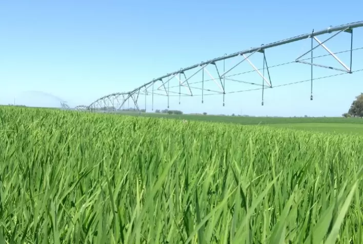 Corteva Agriscience destaca Boas Práticas Agrícolas no XII Congresso Brasileiro do Arroz Irrigado