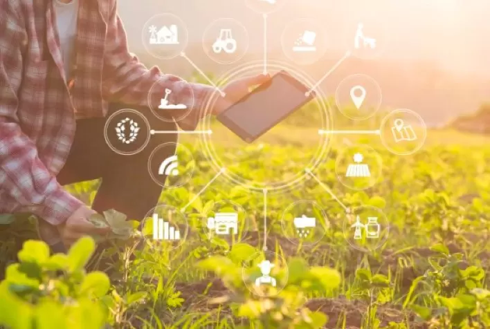 Inteligência Artificial no agronegócio e a sua influência na agenda ESG