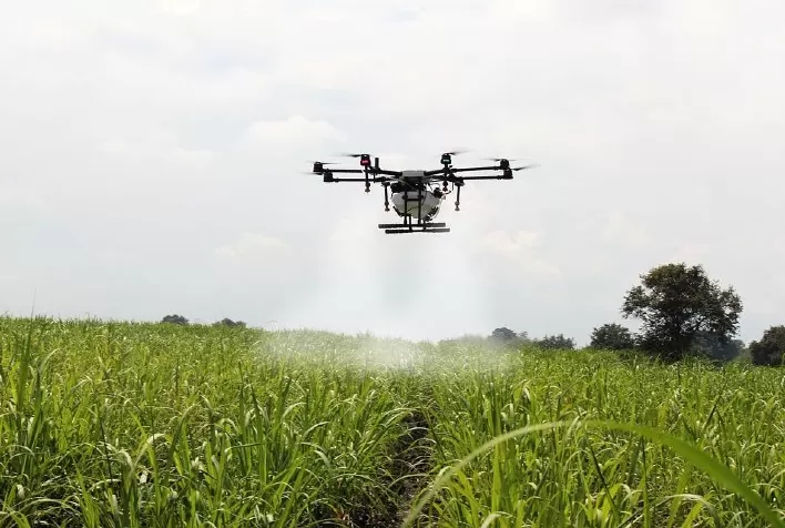 Uso de ferramentas tecnológicas no manejo de nematoides