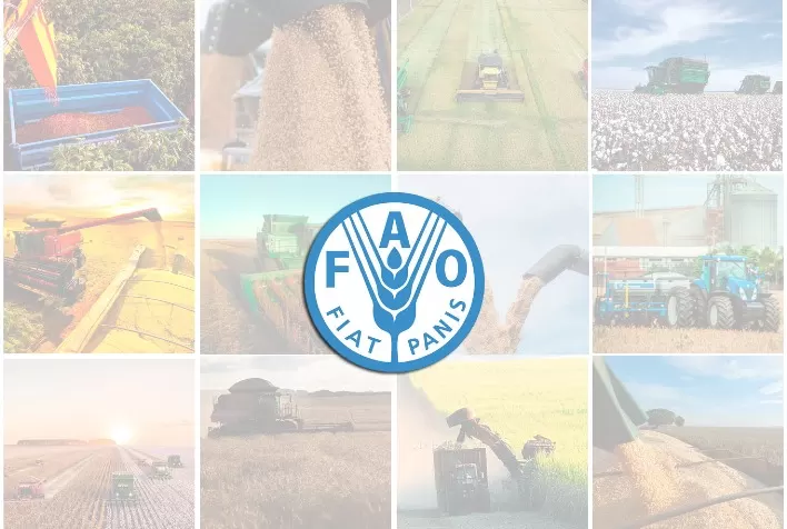 Declaração Conjunta dos Representantes do FMI, Grupo Banco Mundial, OMC, FAO e WFP sobre a Crise Global de Insegurança Alimentar