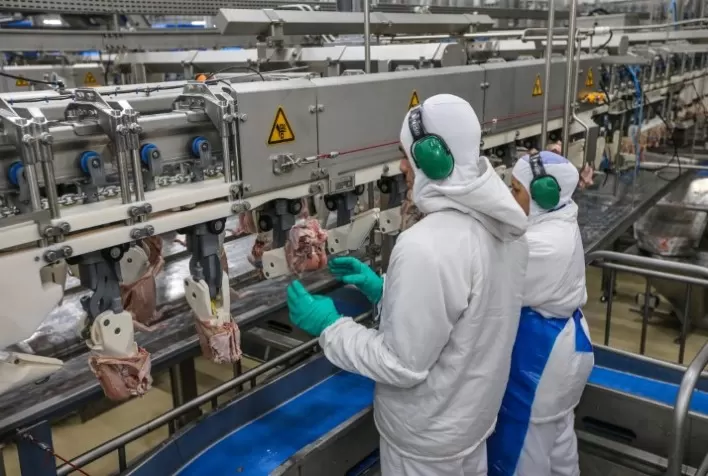 Produção agroindustrial voltou a crescer no Brasil em maio, diz FGV