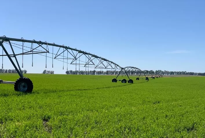 Pesquisa define melhor período para plantio do arroz irrigado no TO
