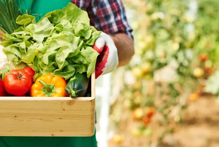 Produtores não precisam mais informar prazo de validade em vegetais frescos embalados