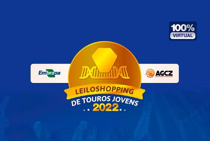 Embrapa e AGCZ promovem Leiloshopping de Touros Jovens neste final de semana pela internet