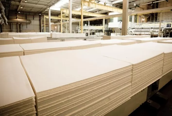 Heinzel Group torna-se investidor estratégico em projeto de construção da primeira fábrica de celulose do Paraguai